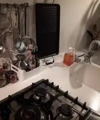 Pulizie domestiche e preparaz. vivande