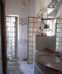 Camera singola a ragazza non fumatrice Camera singola a ragazza non fumatrice