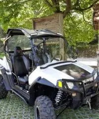 Polaris rzr 800s Polaris rzr 800s