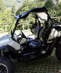 Polaris rzr 800s