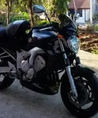 Yamaha Fz6 600 Yamaha Fz6 600