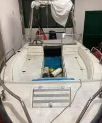 Barca - motore - carrello