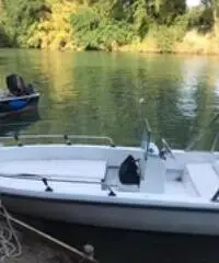 Natante con motore 25 cavalli Tohatsu