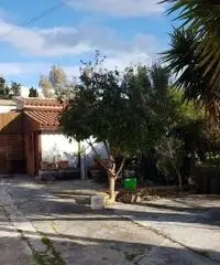 Villetta indipendente a 100 metri dal mare Trabia Villetta indipendente a 100 metri dal mare Trabia