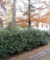 Villa indipendente zona Morane Villa indipendente zona Morane