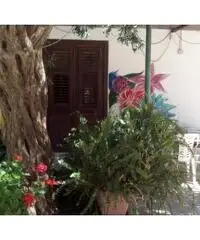 Villa su 2 livelli con dependance-1600mq.terreno Villa su 2 livelli con dependance-1600mq.terreno