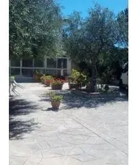 Villa su 2 livelli con dependance-1600mq.terreno Villa su 2 livelli con dependance-1600mq.terreno