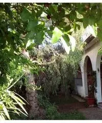 Marina Cerveteri Villino last minute a Settembre Marina Cerveteri Villino last minute a Settembre