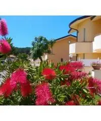 VILLETTA A SCHIERA e PISCINA a 150 MT DAL MARE VILLETTA A SCHIERA e PISCINA a 150 MT DAL MARE