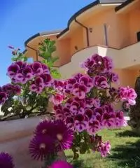 VILLETTA A SCHIERA e PISCINA a 150 MT DAL MARE