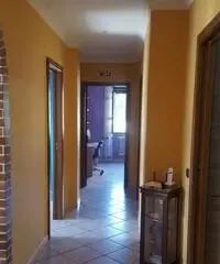 Appartamento vicino università Appartamento vicino università