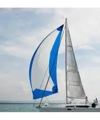 Hanse320