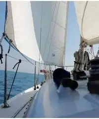 Barca a Vela Gilardoni Re David