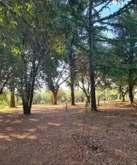 Villa con giardino