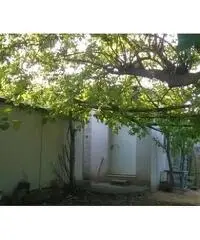 Vendita Rustico e terreno a Norma(Lt)