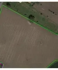 Rustico con terreno