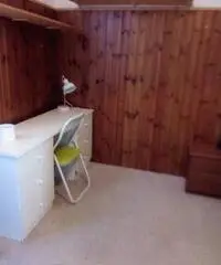 Siena camera Singola zona Porta Pispini