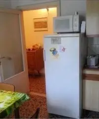 Siena camera singola zona Porta Pispini