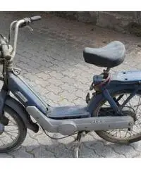 Piaggio ciao anno 1981 Piaggio ciao anno 1981