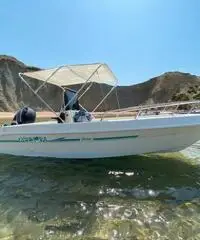 Saver 495
