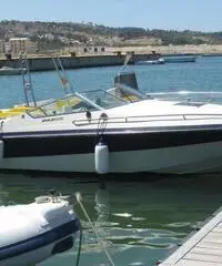 Wellcraft elite 222