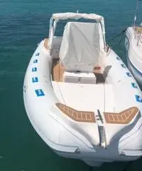 Stingher 606 xs