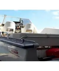 Boston Whaler Revenge V 22