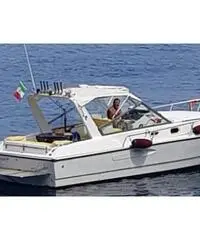 Barca a motore Mochi craft 31 dominator