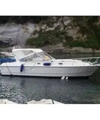 Barca a motore Mochi craft 31 dominator