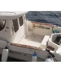 Quicksilver580