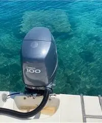 Gommone G65