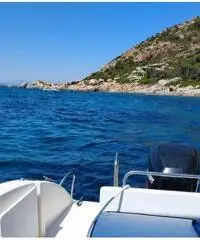 Barca a motore