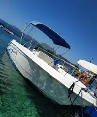 Barca a motore