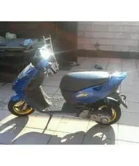 Sonic 50gp