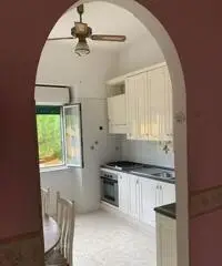 Luminoso bilocale Luminoso bilocale