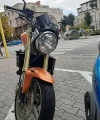 Honda CBF 600 - 2006