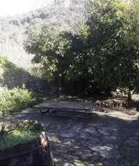 Imperia Clavi appartamento in mulino cod. 7108 Imperia Clavi appartamento in mulino cod. 7108