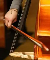 Violoncellista/violinista Violoncellista/violinista