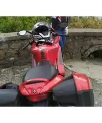 Ducati st4s Ducati st4s