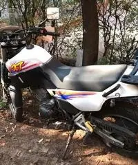 Xt 600 3tb 1995 euro 900