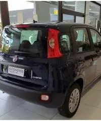 FIAT Panda EASY 1.0 HYBRID 70 CV