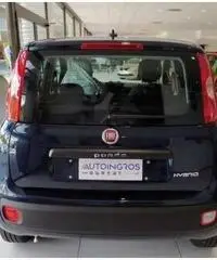FIAT Panda EASY 1.0 HYBRID 70 CV