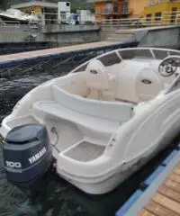 Rio cruise 550 motore yamaha 100 cv carrello revis