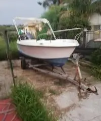 Open 100cv