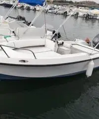 Open 100cv