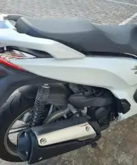 Sh 300
