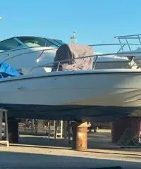 Barca Rascala F20 Barca Rascala F20