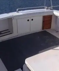 Rio Fish 700
