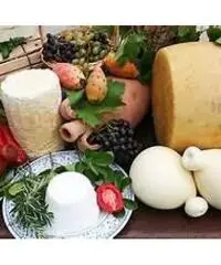 Commercializziamo le eccellenze della gastronomia siciliana Commercializziamo le eccellenze della gastronomia siciliana