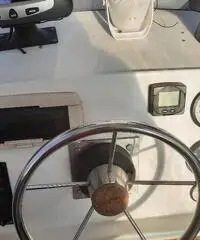 Conero kingfisher